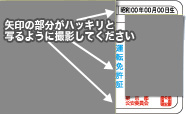 免許証サンプル